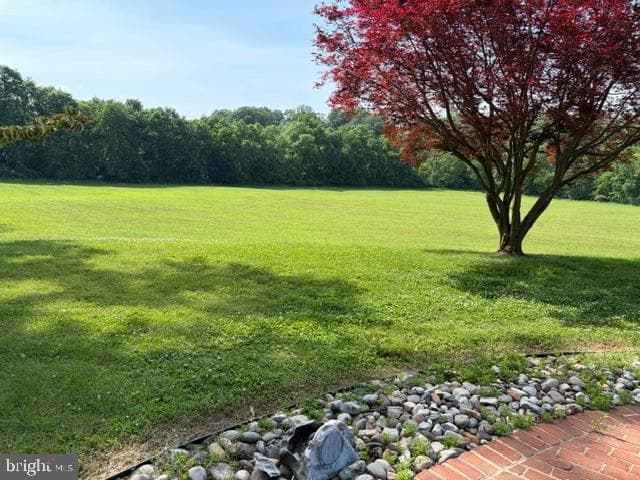 12924 Clopper Road photo 7