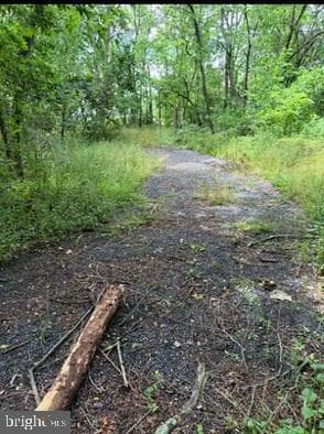 14257 Rockdale Road photo 3