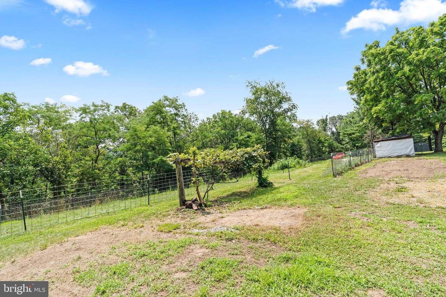 14435 White Oak Ridge photo 49