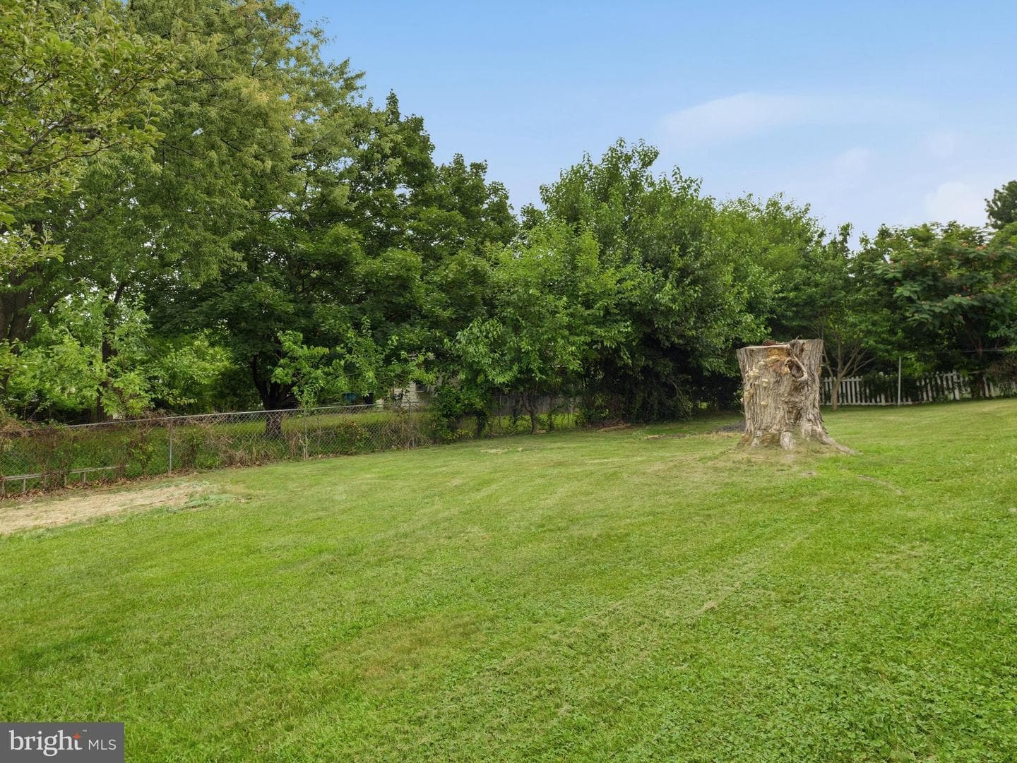 206 Weldon Drive photo 34