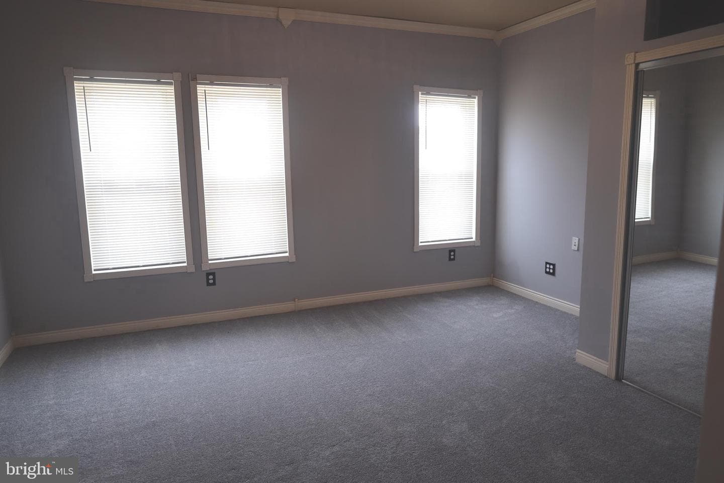 321 Mitchell Avenue photo 22