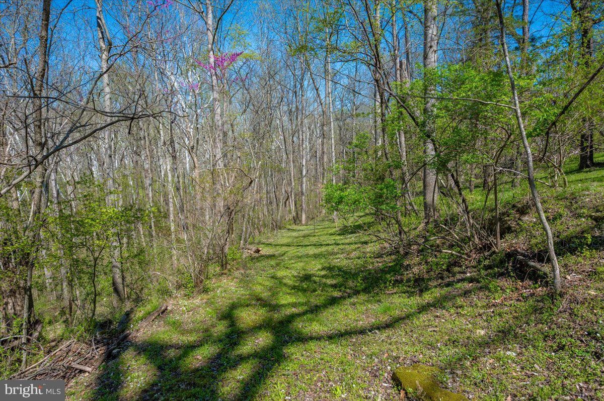4304 Sharmans Run photo 55