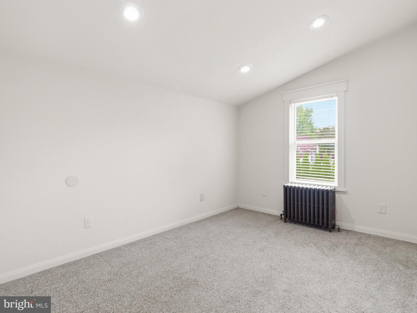 1043 Spruce Street photo 24