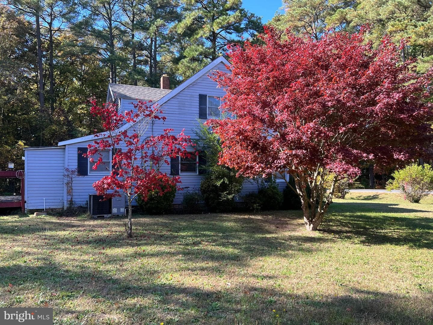 21355 Nanticoke Road photo 16