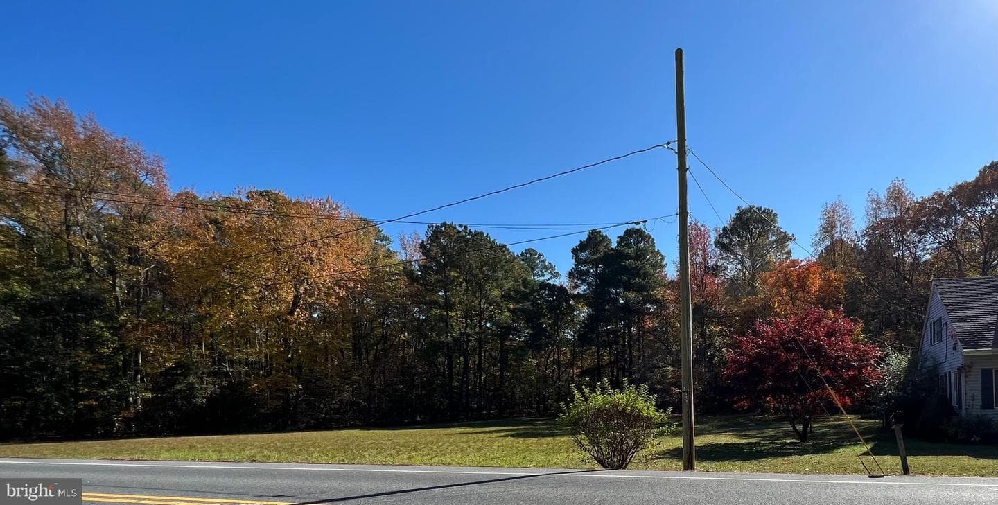 21355 Nanticoke Road photo 19