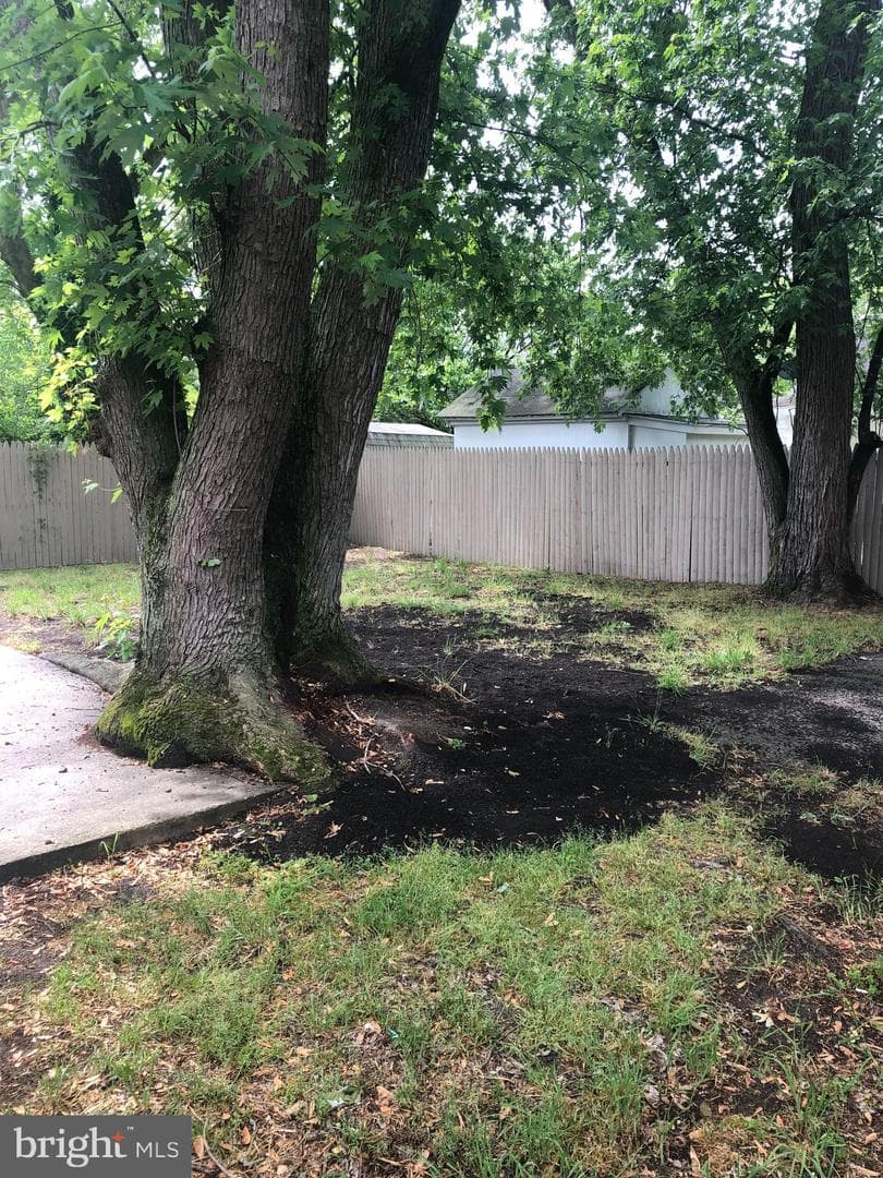 406 Venton Place photo 19