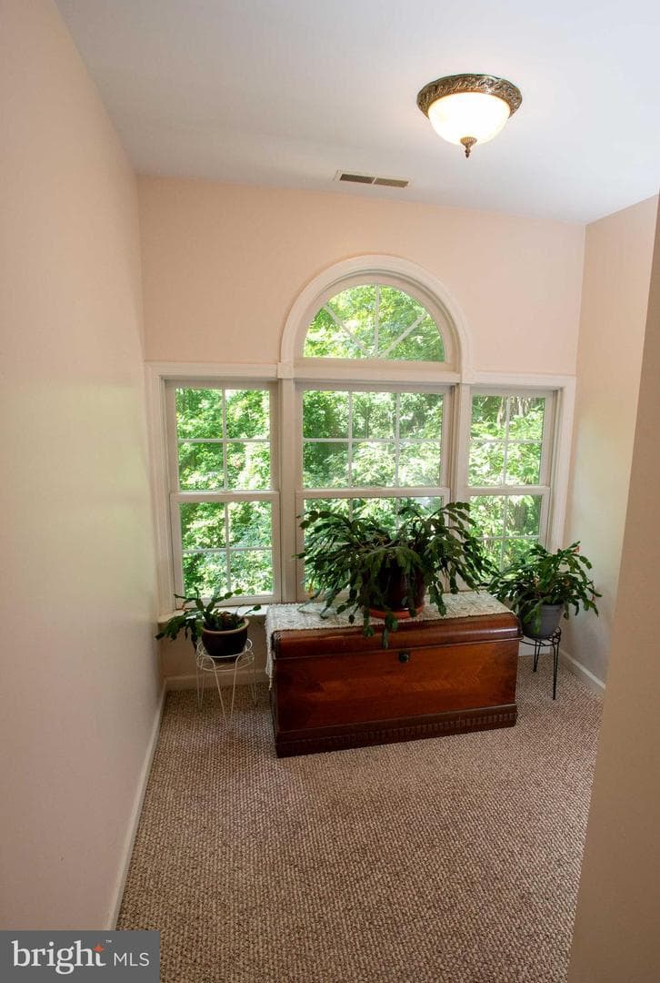 1003 Hinman Lane photo 30