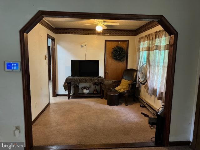7569 Buckman Avenue photo 14