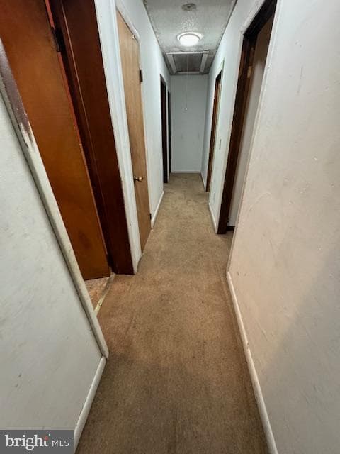7569 Buckman Avenue photo 20