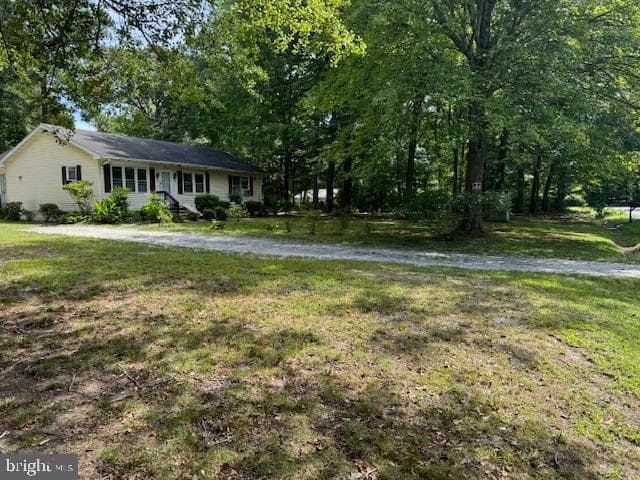 7569 Buckman Avenue photo 4