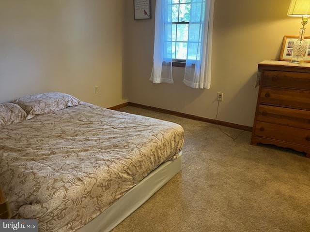 906 Friar Tuck Lane photo 23
