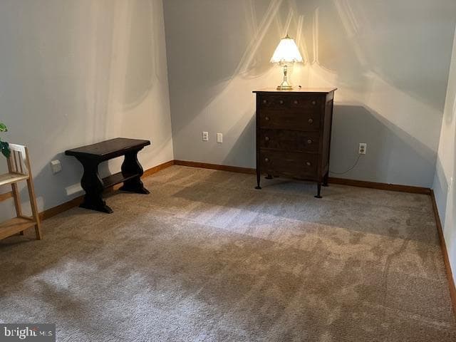 906 Friar Tuck Lane photo 27