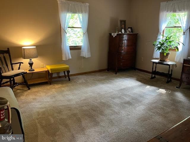 906 Friar Tuck Lane photo 29