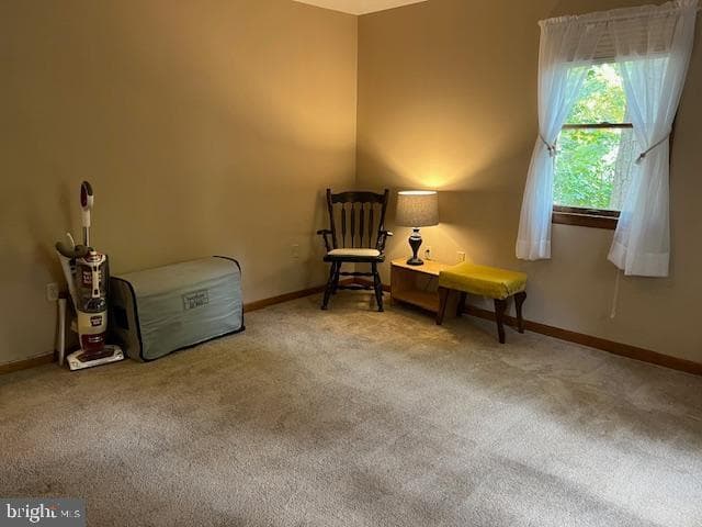 906 Friar Tuck Lane photo 31