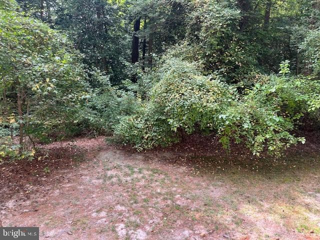 906 Friar Tuck Lane photo 35