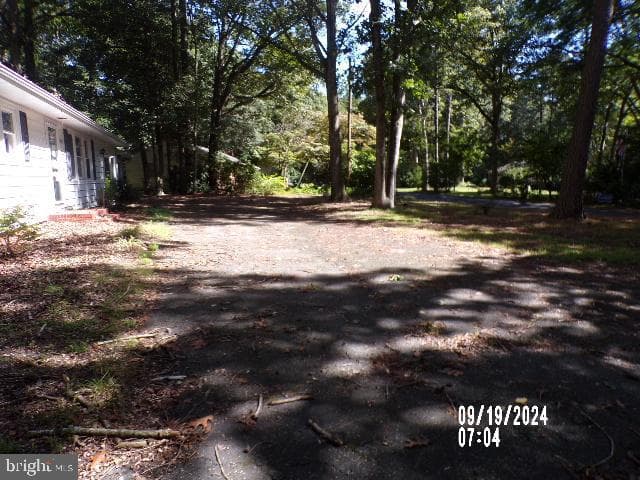 31028 Wilton Avenue photo 8