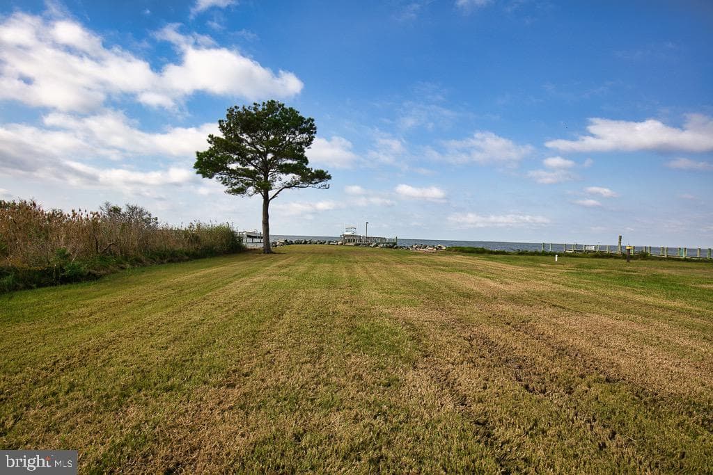20118 Nanticoke Road photo 10