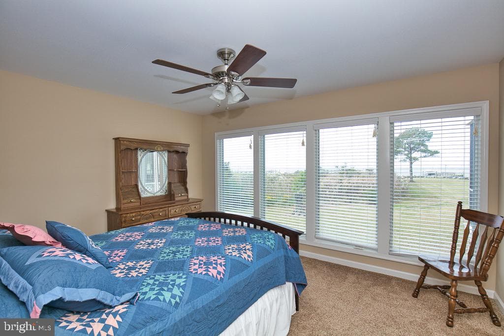 20118 Nanticoke Road photo 21
