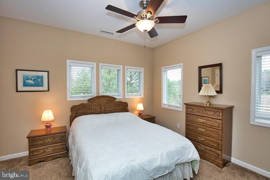 20118 Nanticoke Road photo 30