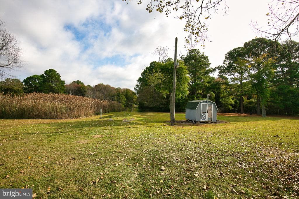 20118 Nanticoke Road photo 4