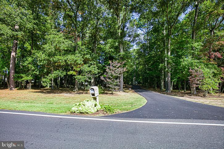 3589 Union Church Road photo 84