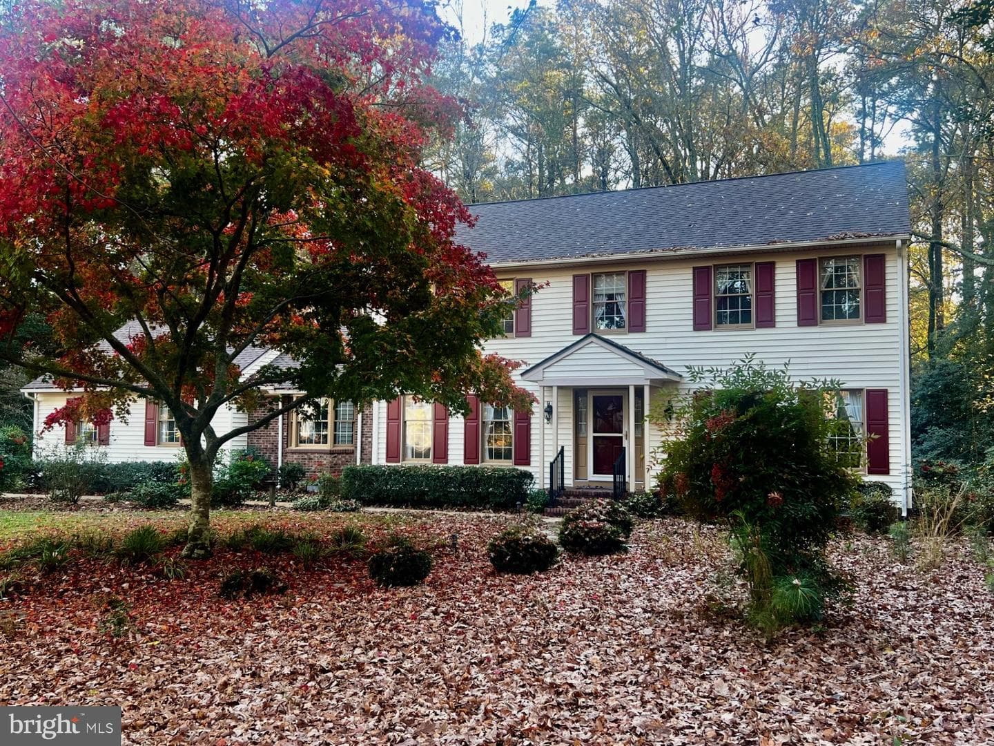 27103 Scotland Parkway photo 3