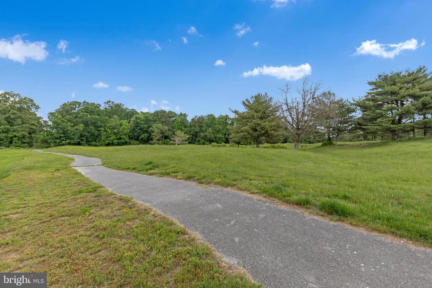 9359 Mulligan Way photo 57