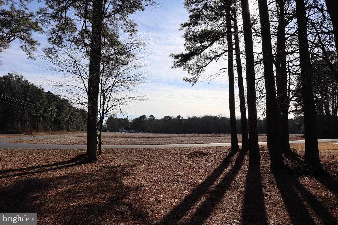 33302 Dagsboro Road photo 4