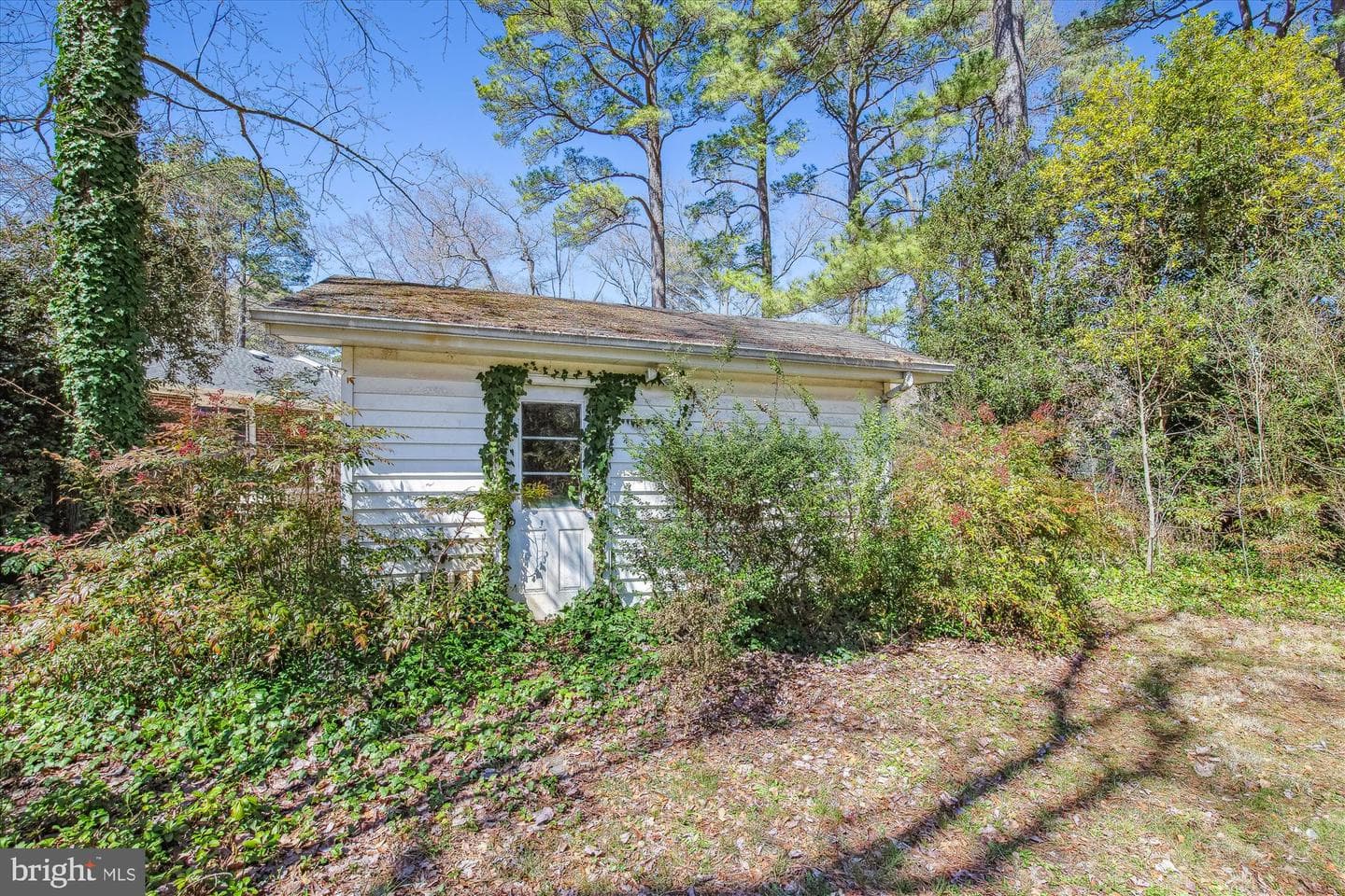 611 Pine Bluff Road photo 34