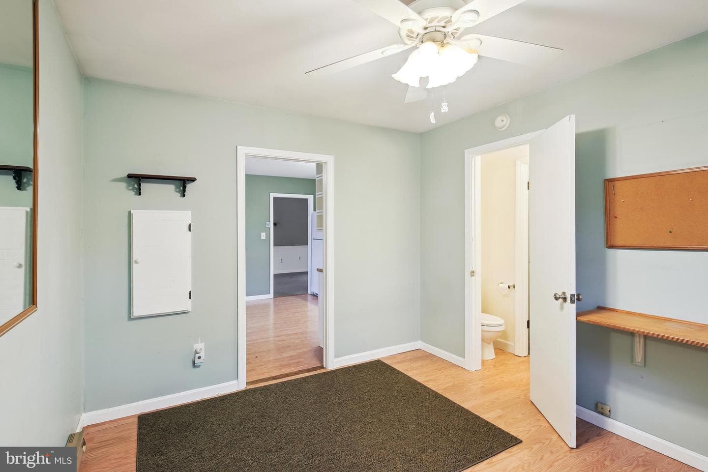 810 Springfield Circle photo 19