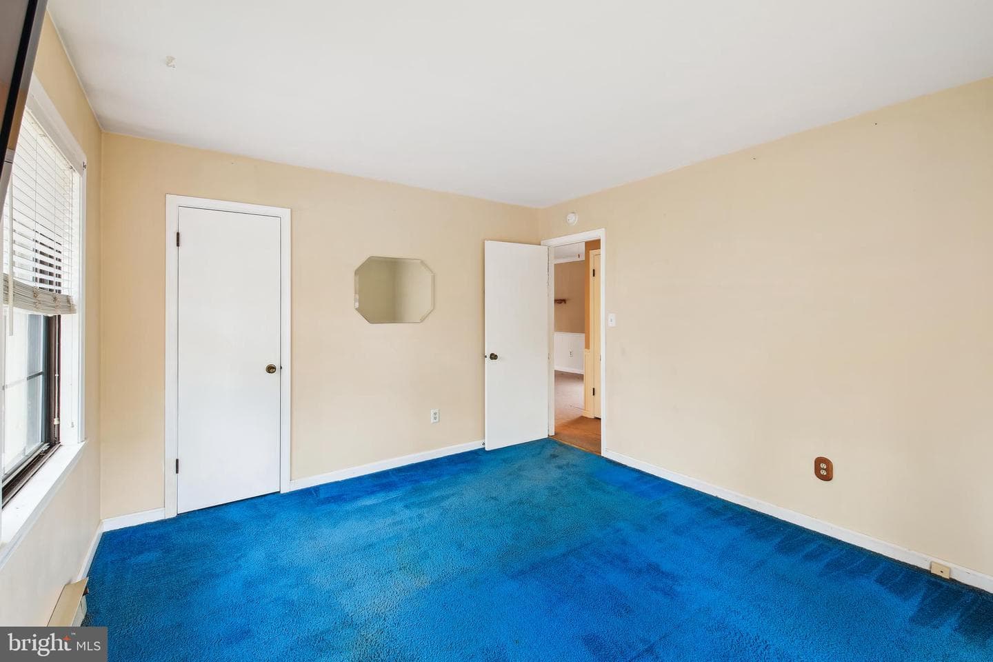 810 Springfield Circle photo 21