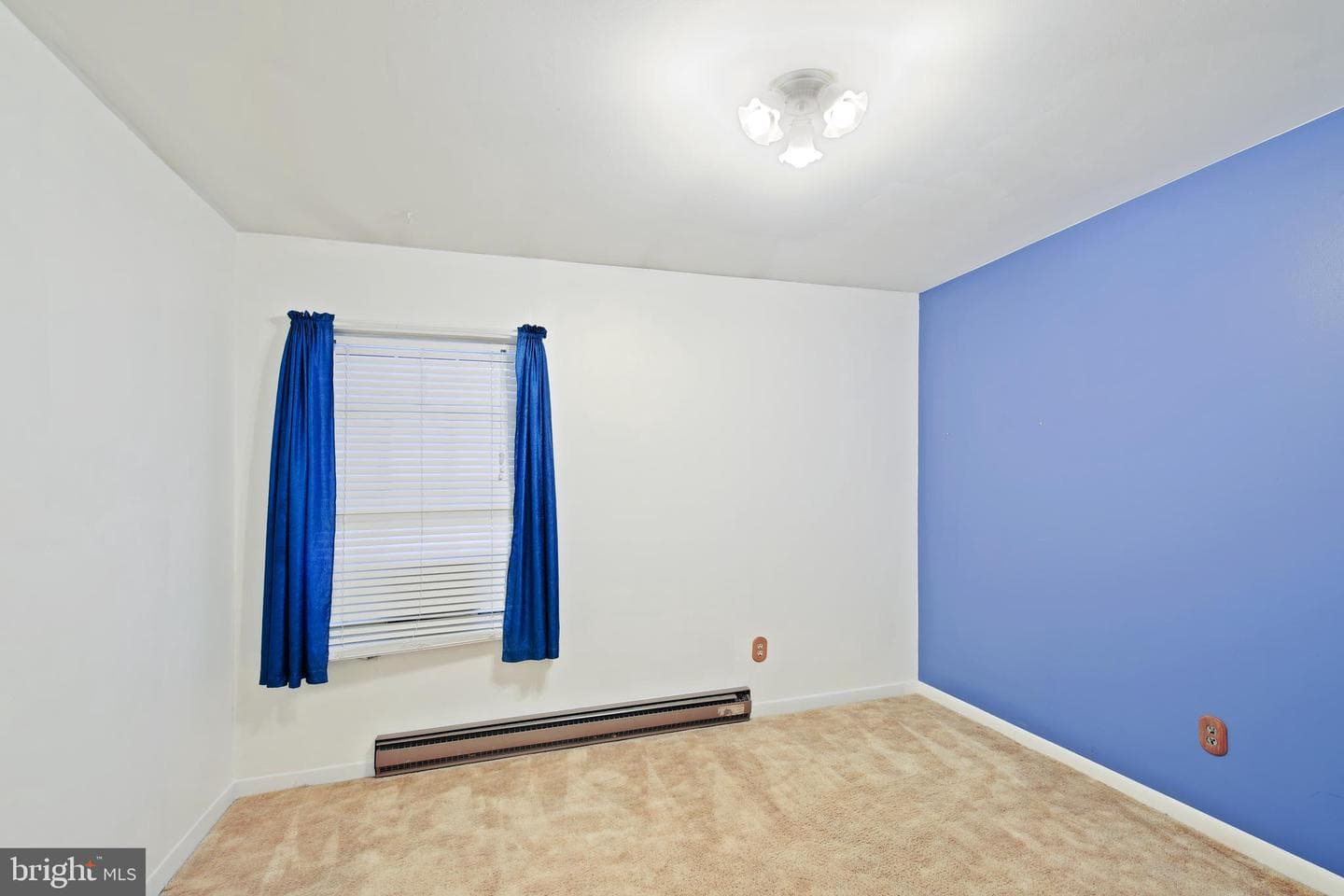 810 Springfield Circle photo 25