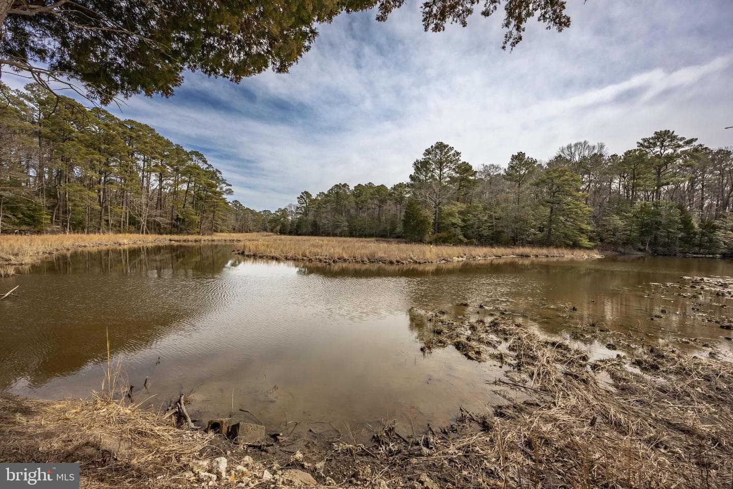 23057 Nanticoke Road photo 14