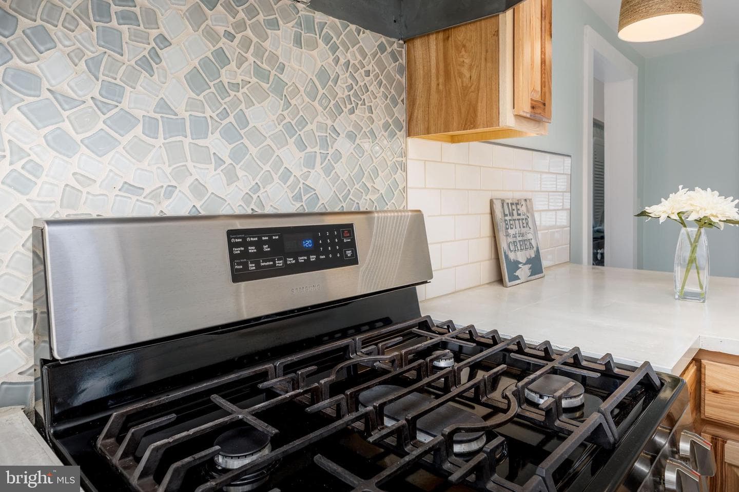 23057 Nanticoke Road photo 30