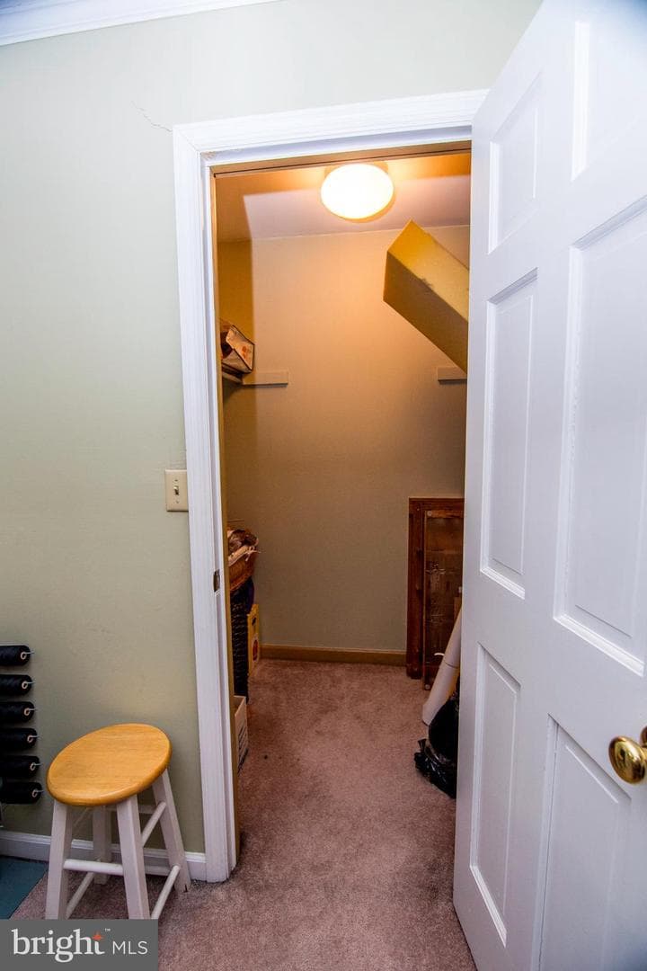 30393 Mallard Drive photo 43