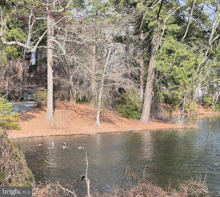 28704 Old Quantico Road photo 3