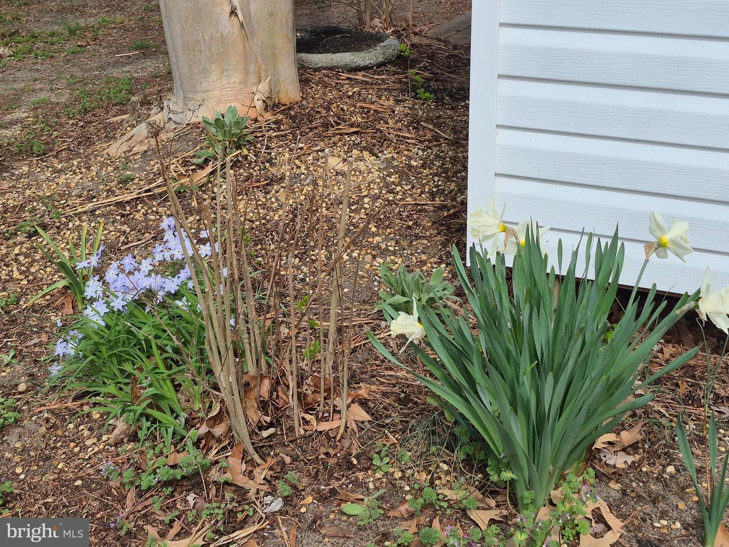 906 Loch Raven Rd. photo 27