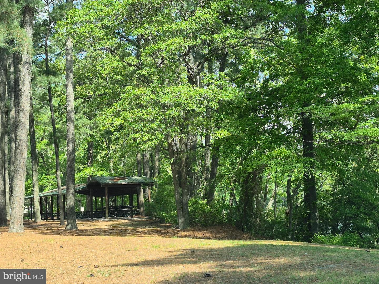 906 Loch Raven Rd. photo 34
