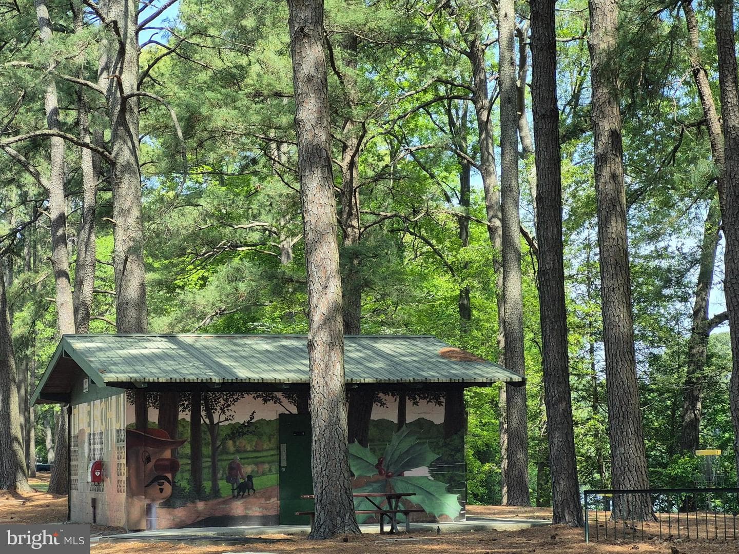906 Loch Raven Rd. photo 37