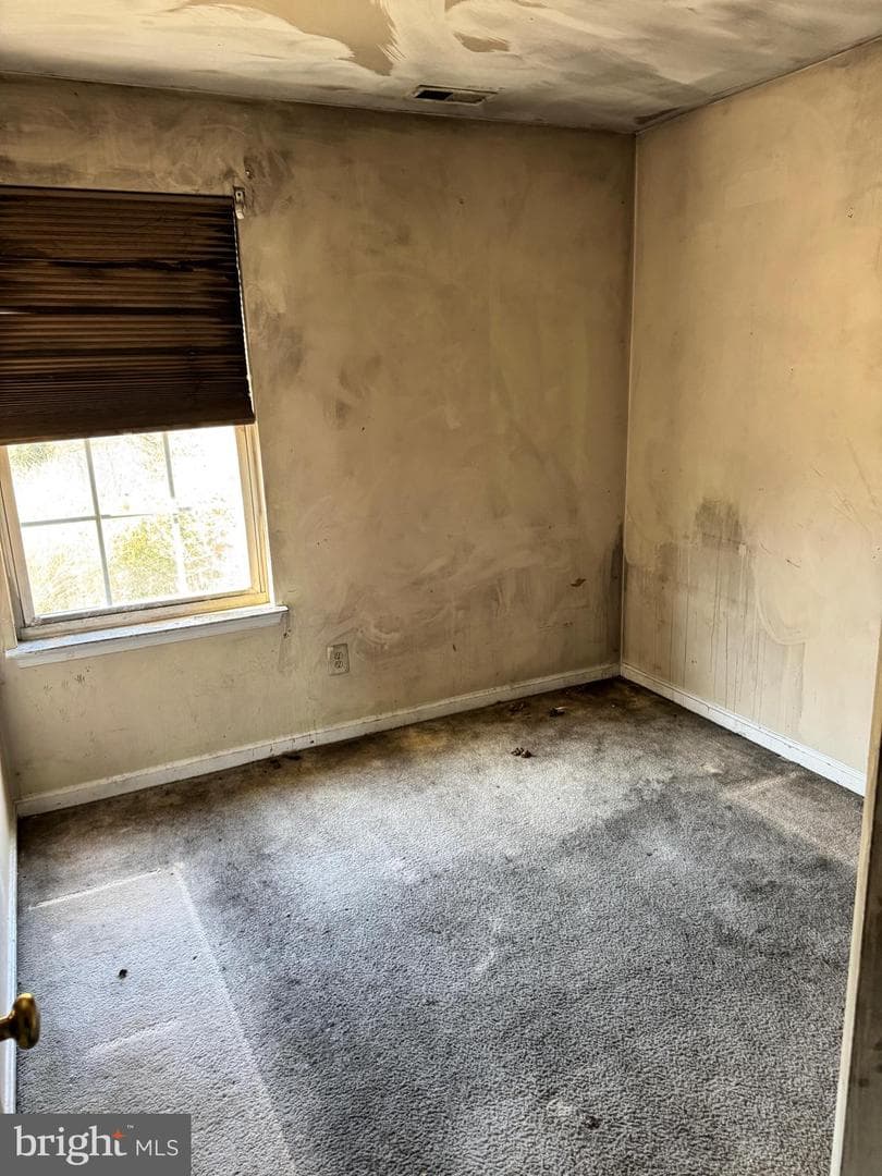 202 Castlebar Drive photo 10