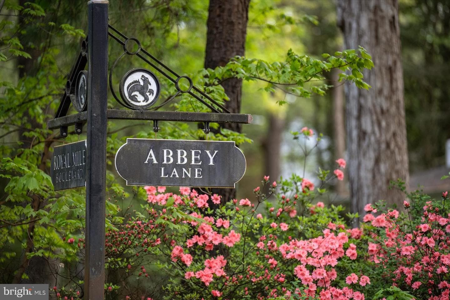 5497 Abbey Lane photo 102