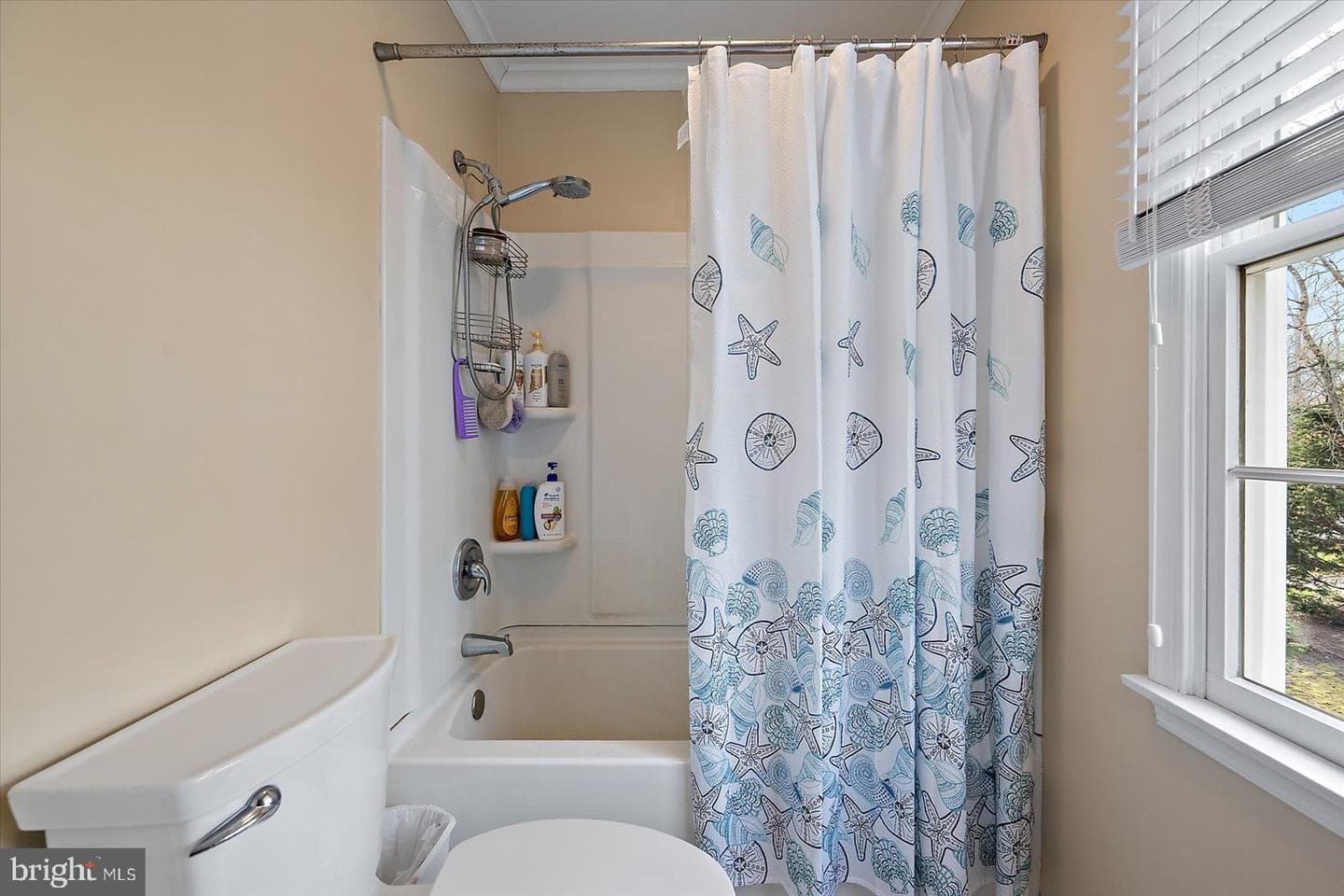 5497 Abbey Lane photo 40