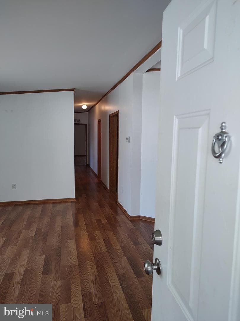 26890 Osprey Circle photo 11