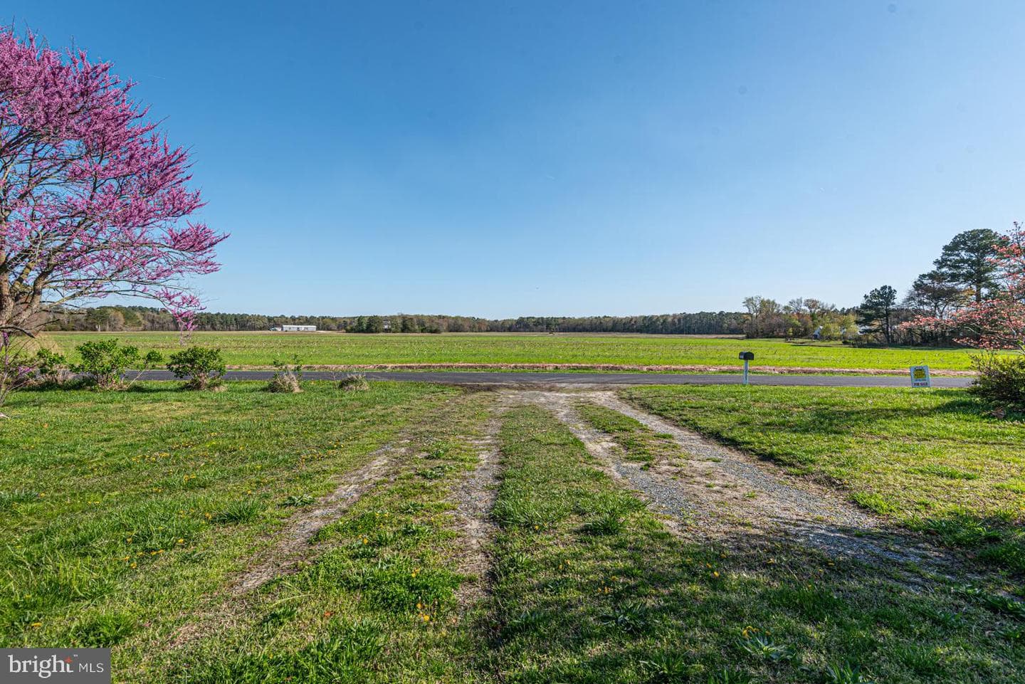 32810 Longridge Road photo 15
