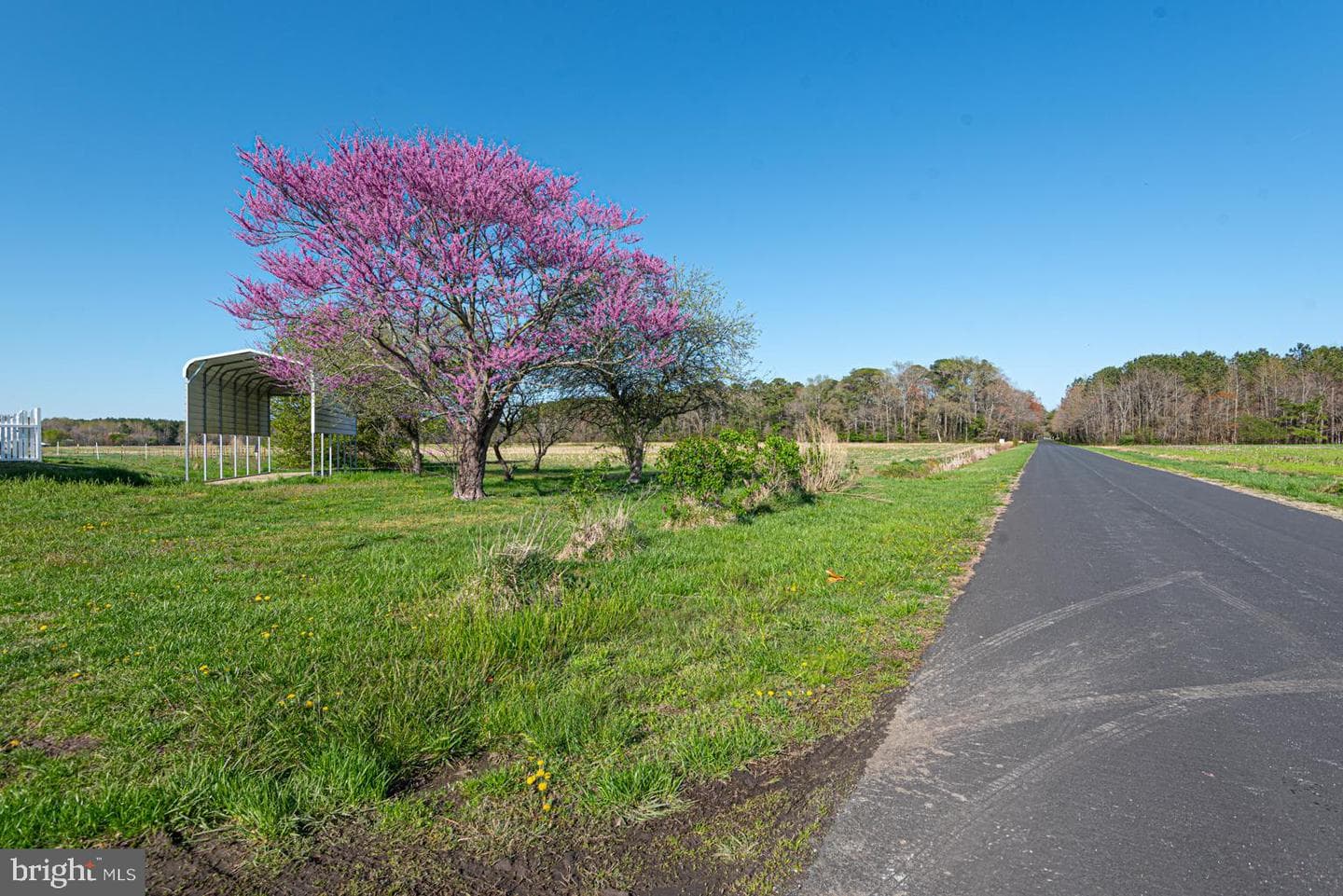 32810 Longridge Road photo 19