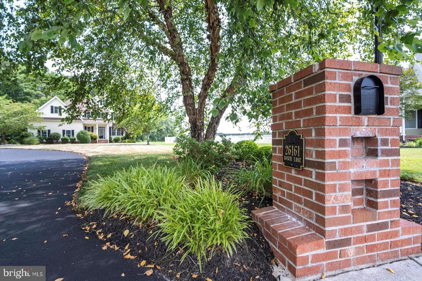 26161 Bosch Lane photo 3