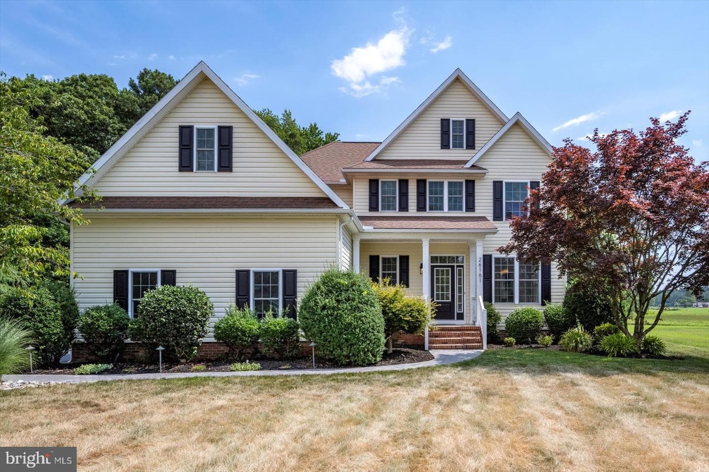 26161 Bosch Lane photo 4