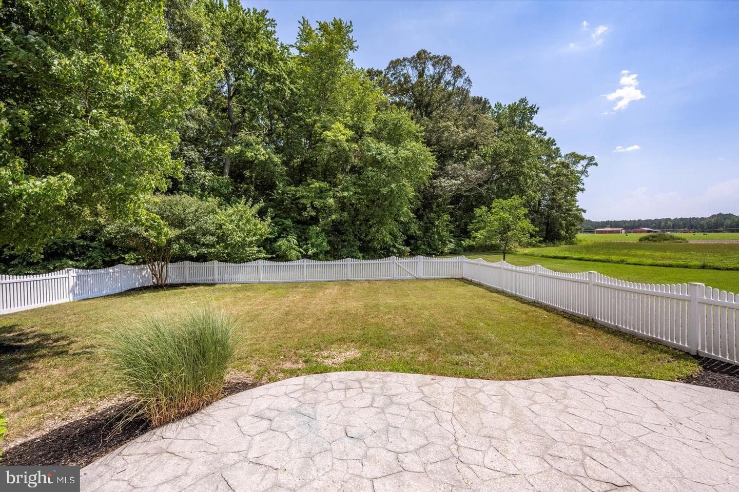 26161 Bosch Lane photo 41