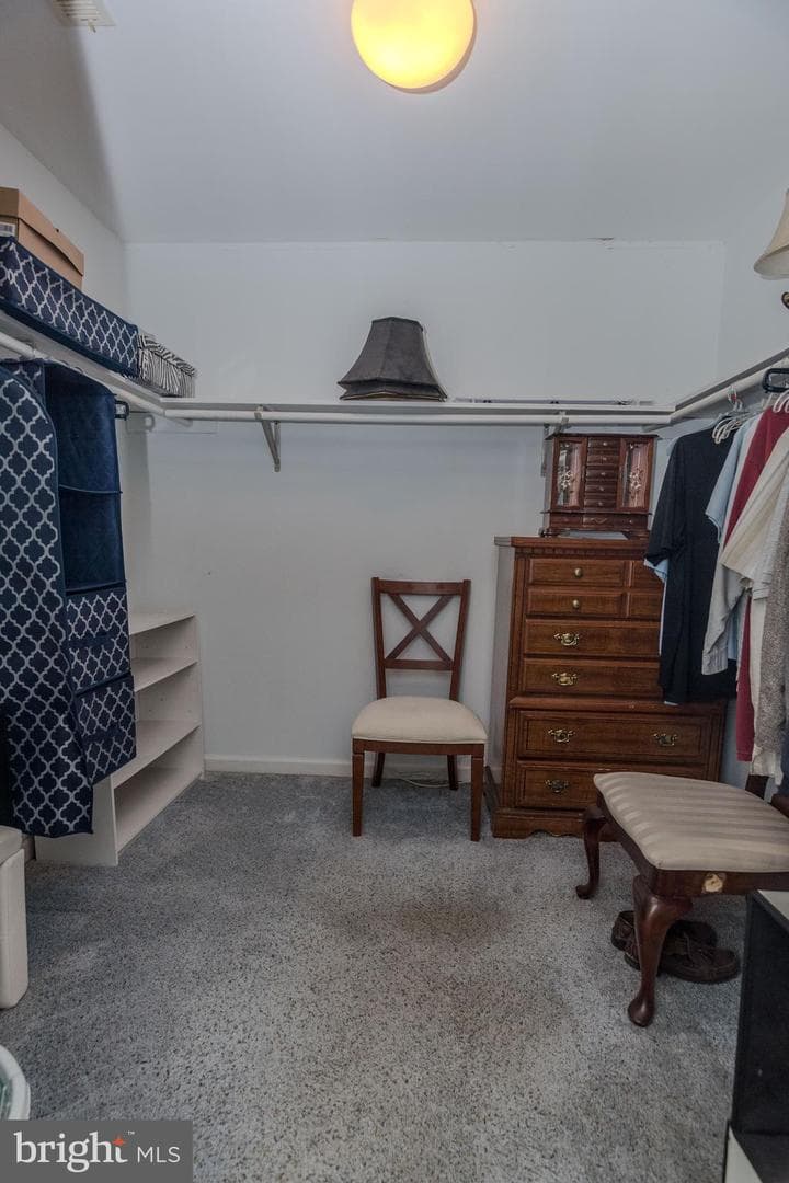 27836 Clearwater Court photo 40
