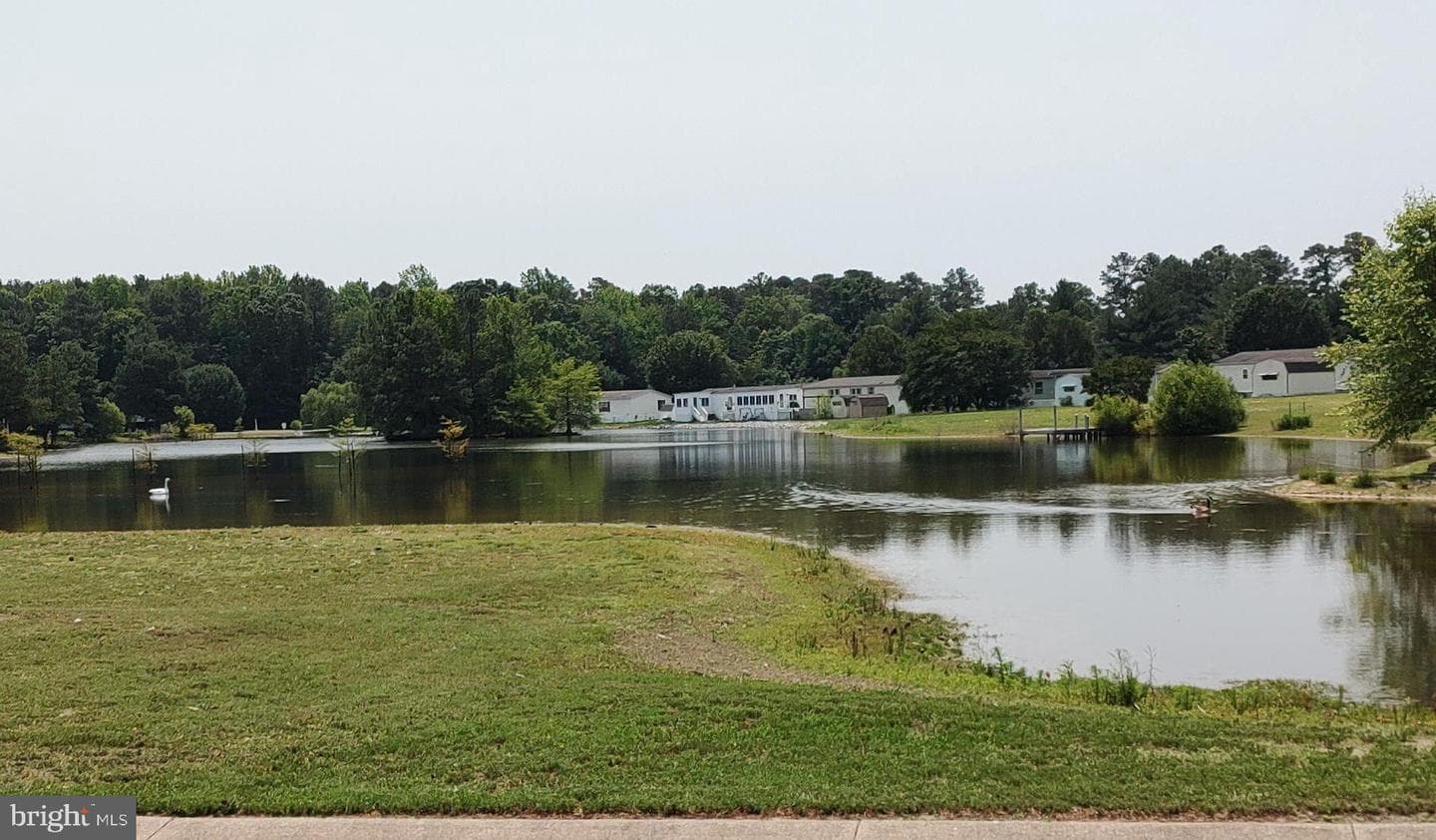 26989 Osprey Circle photo 6